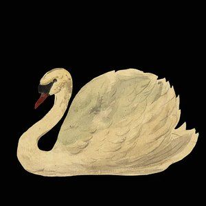 Meet your Posher, Cynthia